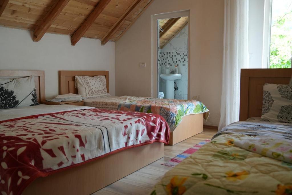 Guesthouse Skender Selimaj Valbone Luaran gambar